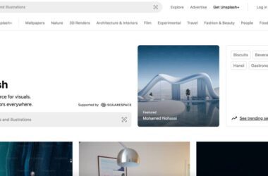 Best Websites to Download Stock Images for Free