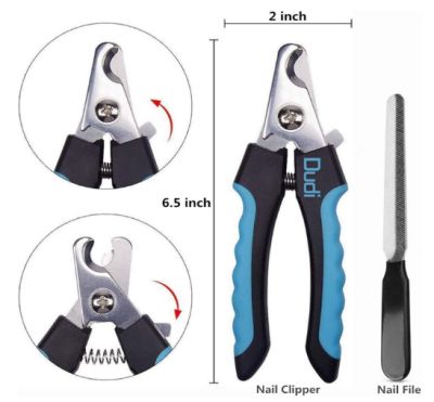best nail trimmer for dogs