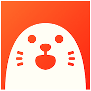 video call with strangers free