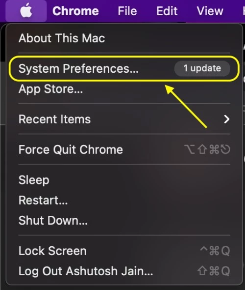 Change Default Browser on Mac Computer