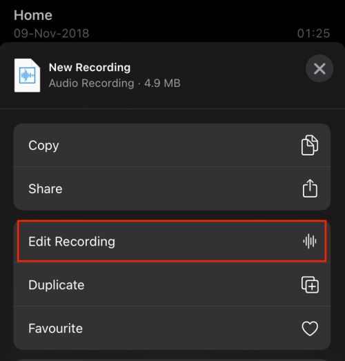 voice memo edit recording