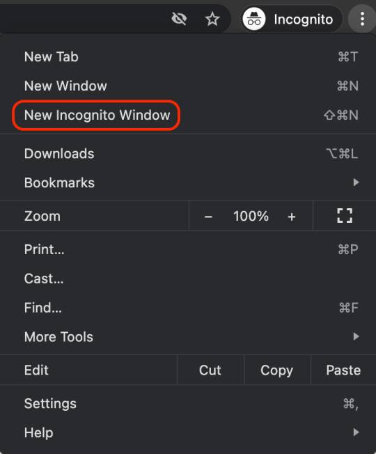 incognito window on chrome browser