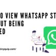 view whatsapp status without seen