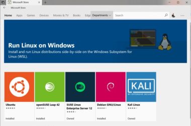 WSL2 on Windows 10