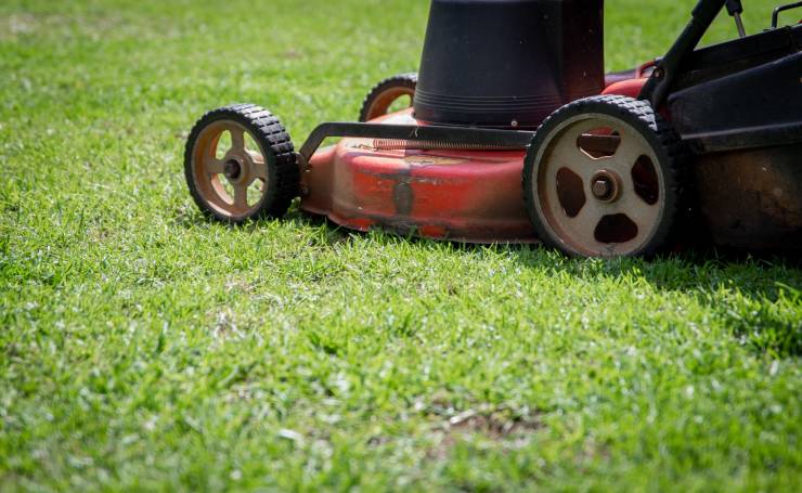 robotic lawn grass mowers