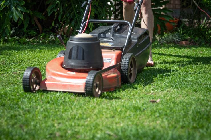 The 5 Best Robotic Lawn Mower For 2021 [Durable & Powerful