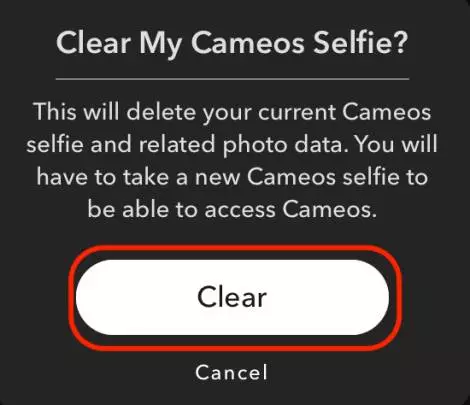 clear snapchat cameo selfie tiny quip