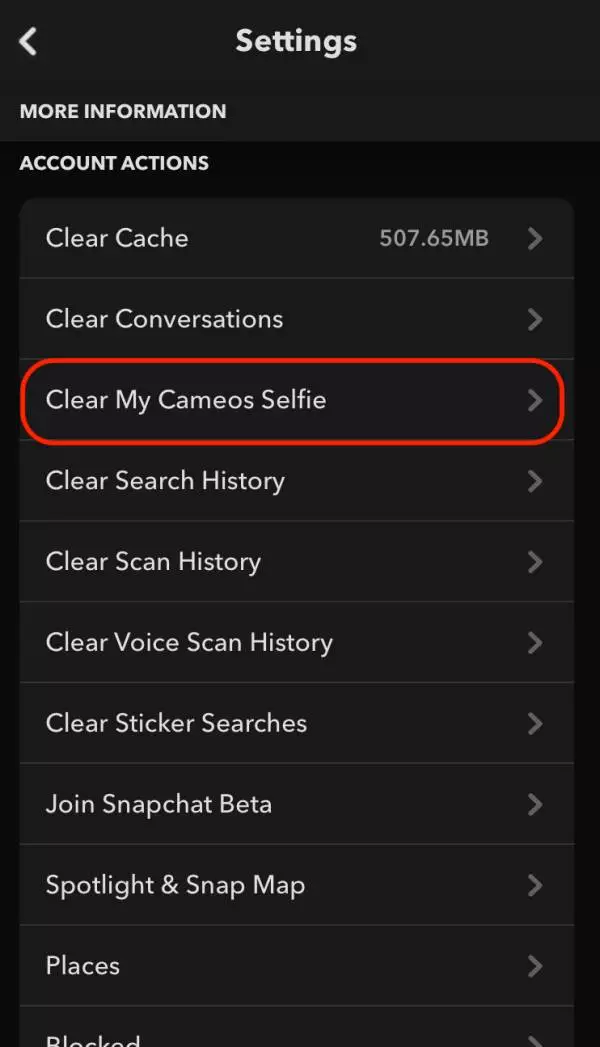 Clear Snapchat Cameo Selfie