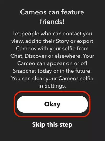 Snapchat two person cameos