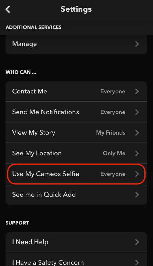 Who can see my Snapchat Cameo