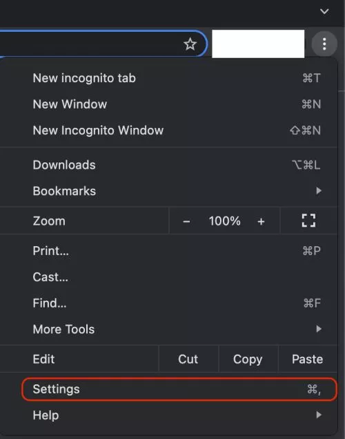 Google Chrome Settings