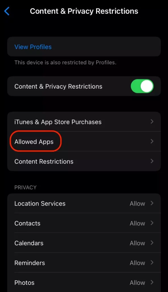Allowed Apps on Content Privacy and Restrictions