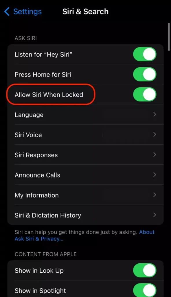 CarPlay not working on iPhone