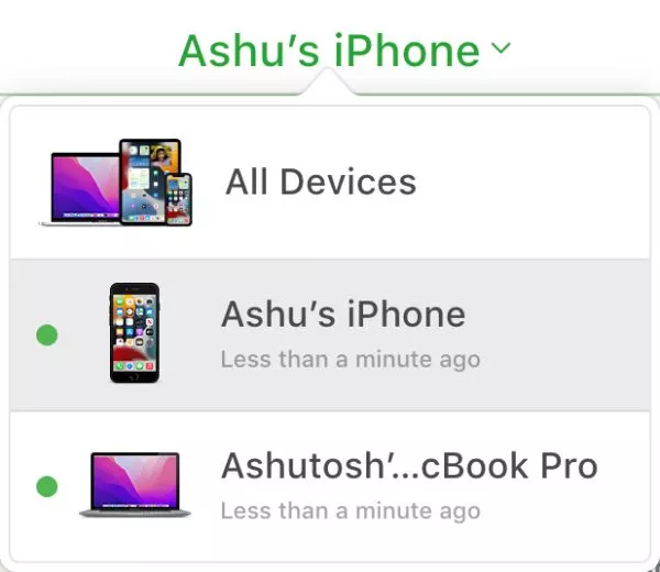 Devices on iCloud Windows