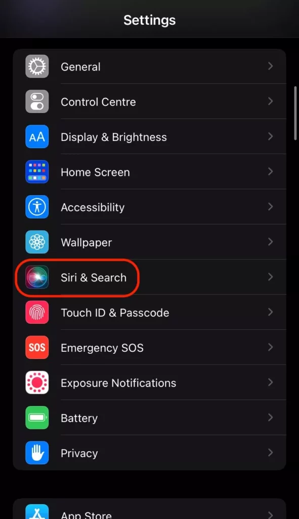 Siri and Search on iPhone