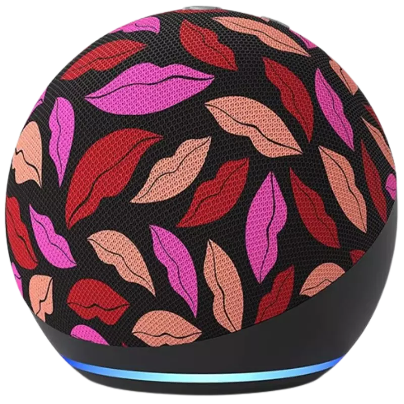 Best Offer on Alexa Speaker