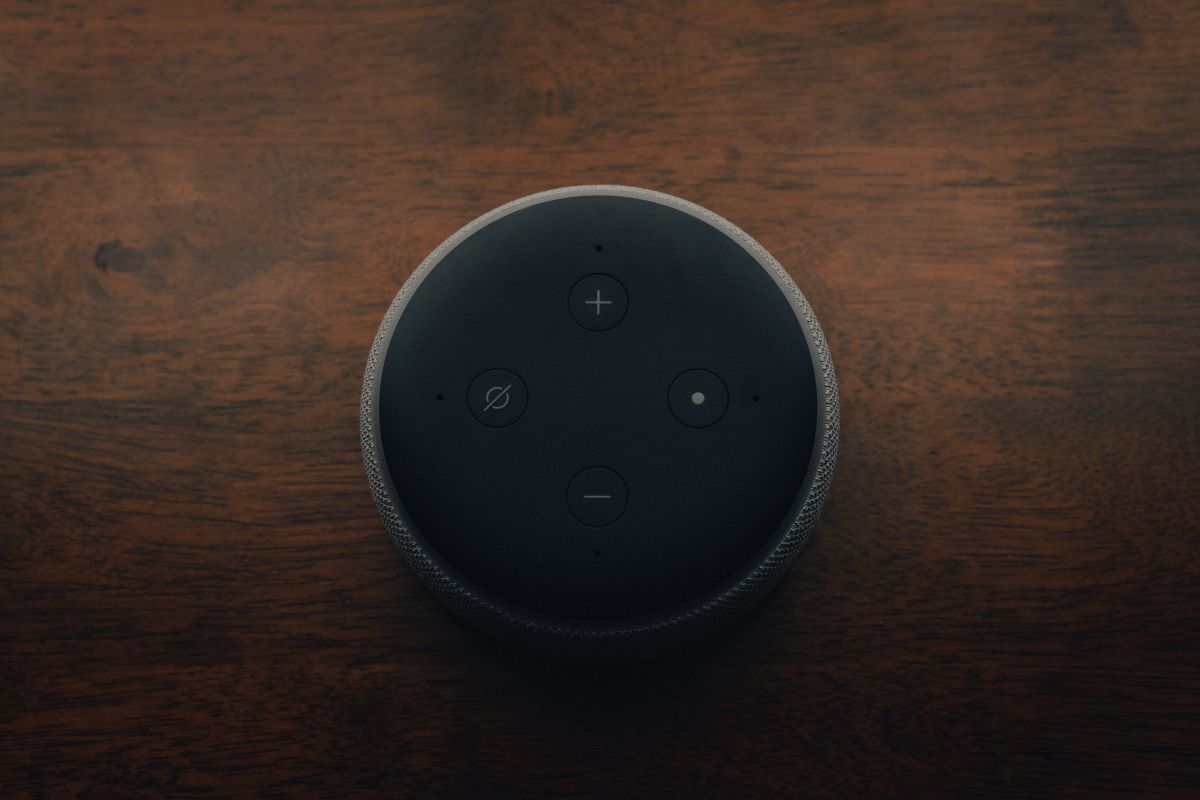How to Change Alexa Voice, Language, and Accent Tiny Quip