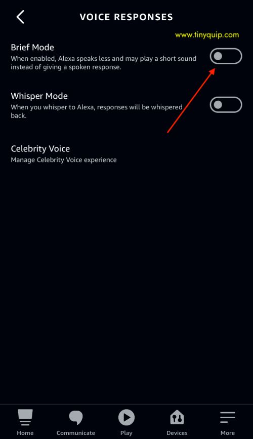 echo voices