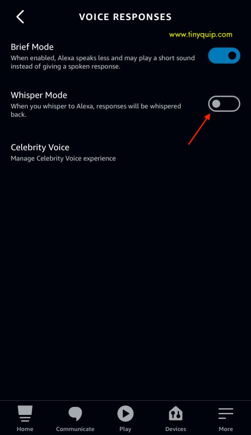 amazon alexa voices