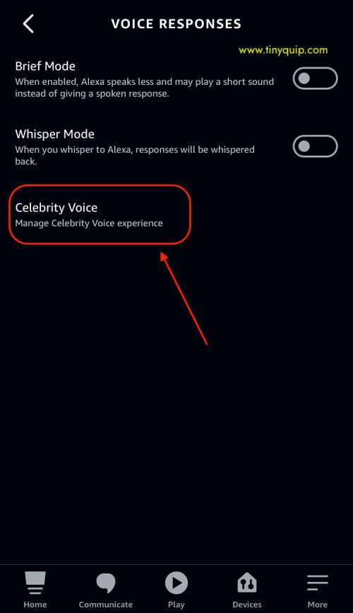 how to change alexa voice