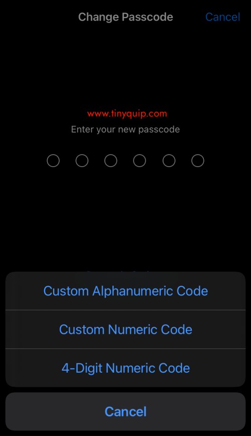 iPhone passcode reset