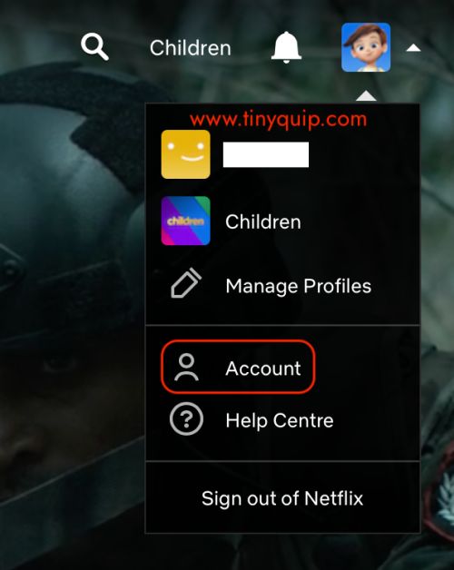 Remove Netflix viewing history