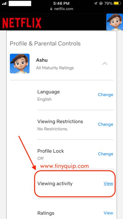 Delete Netflix Shows and Movies