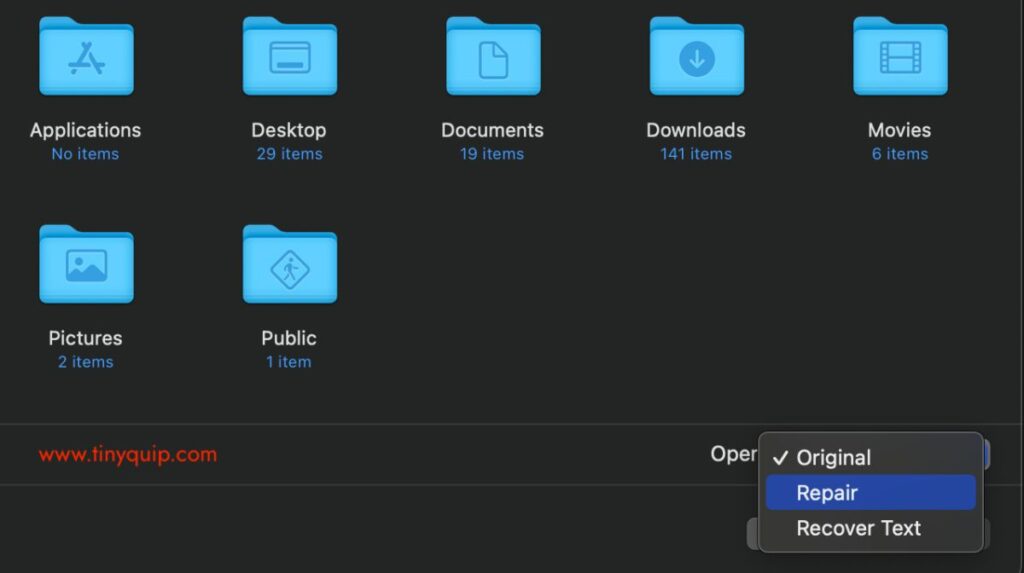 MS Word Built-in Repair Tool