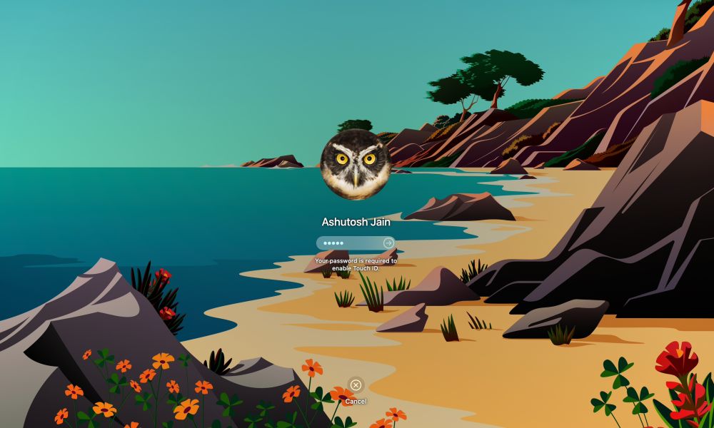 Macbook is restarted