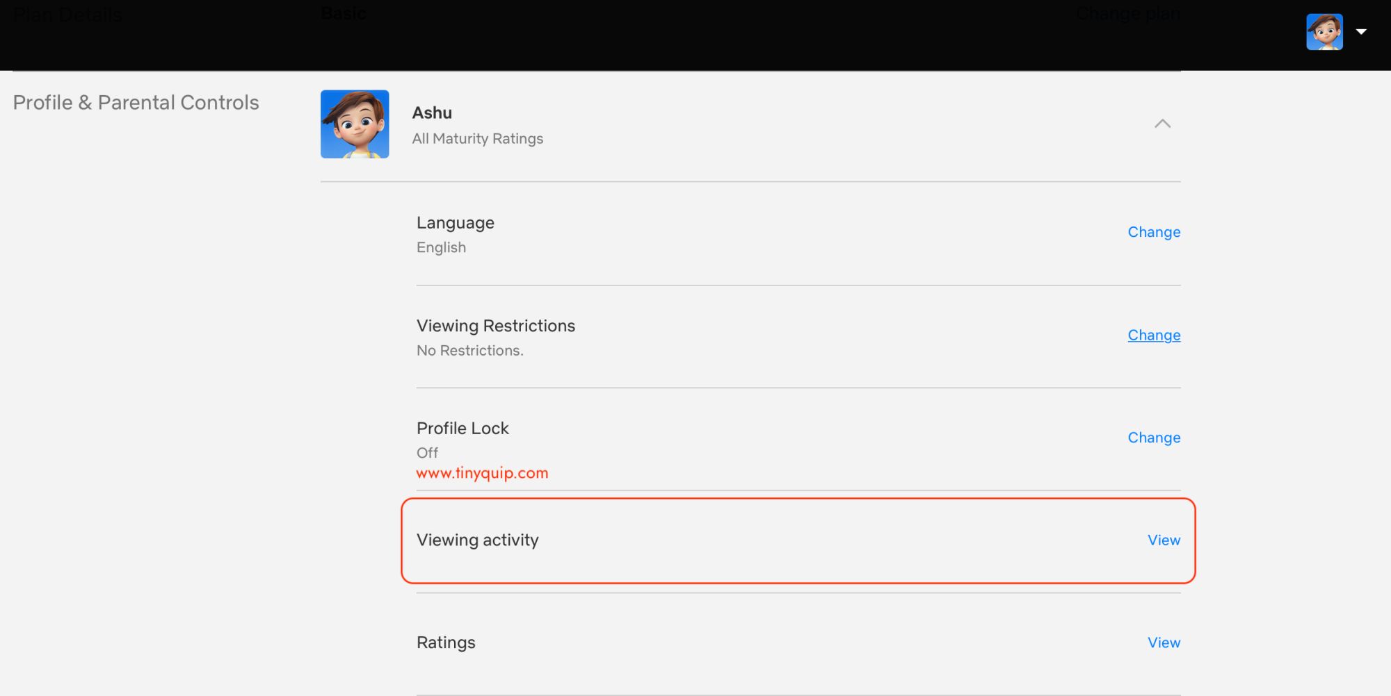 Delete Netflix viewing history