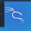 Kali Linux Distro