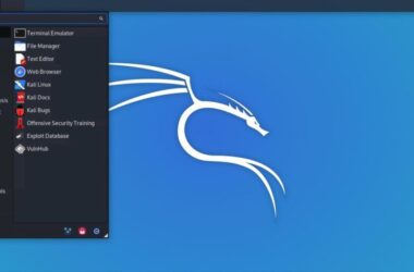 Kali Linux Distro