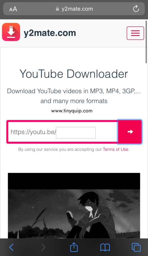 Download YouTube Video on iPhone Cameral roll