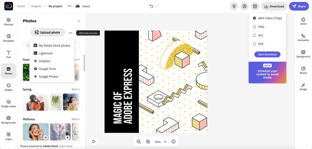 Royalty-free Stock Images on Adobe Express
