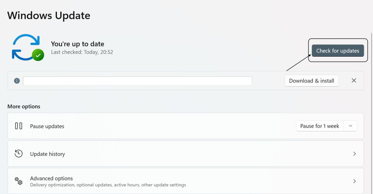 Update Windows Graphics Driver