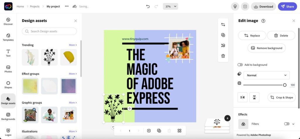 How to add elements and shapes on Adobe Express