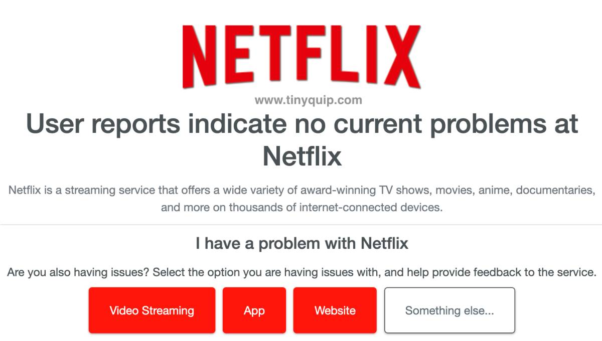 Netflix Server Down NSES 500 Error