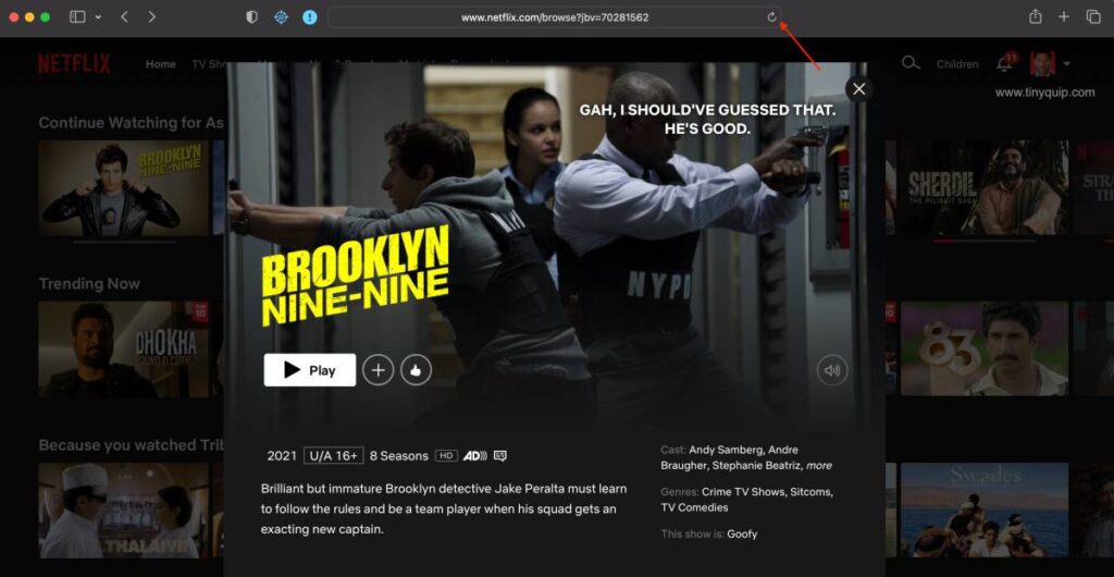 Refresh Netflix Screen