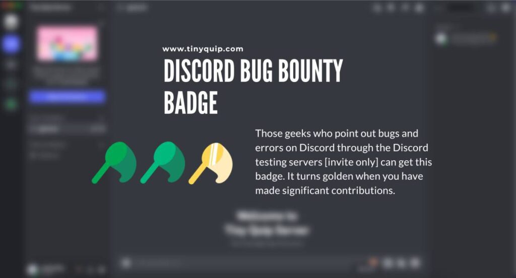 Bug Bounty Hunter Badge on Discord