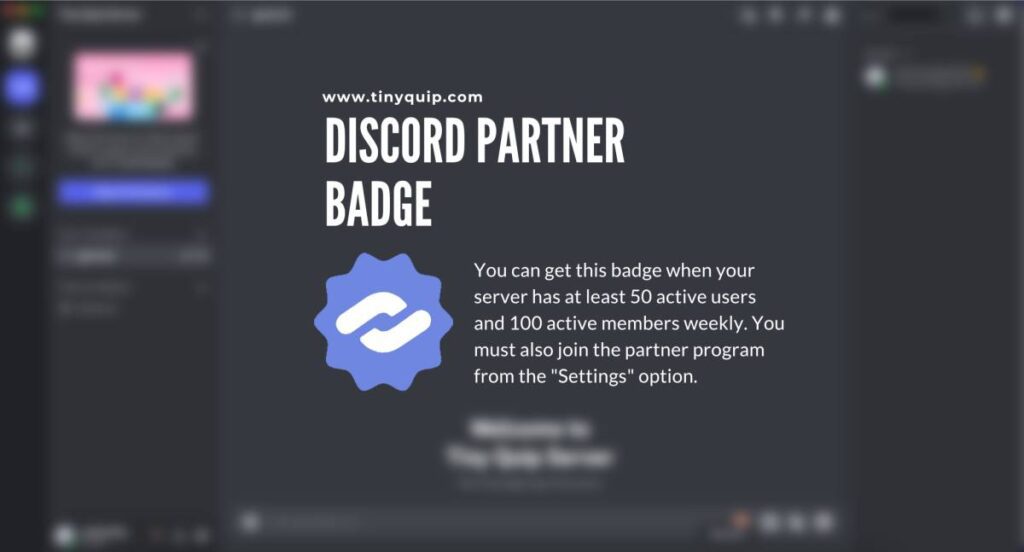 Partner Badge on Discord