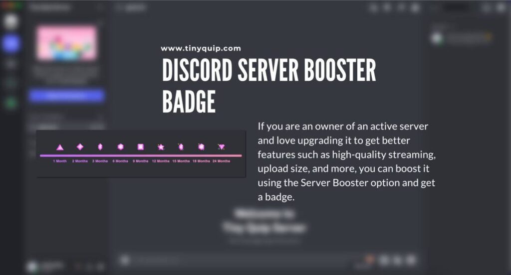 Server Booster Badge on Discord