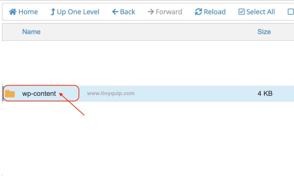 Content folder on WordPress Website