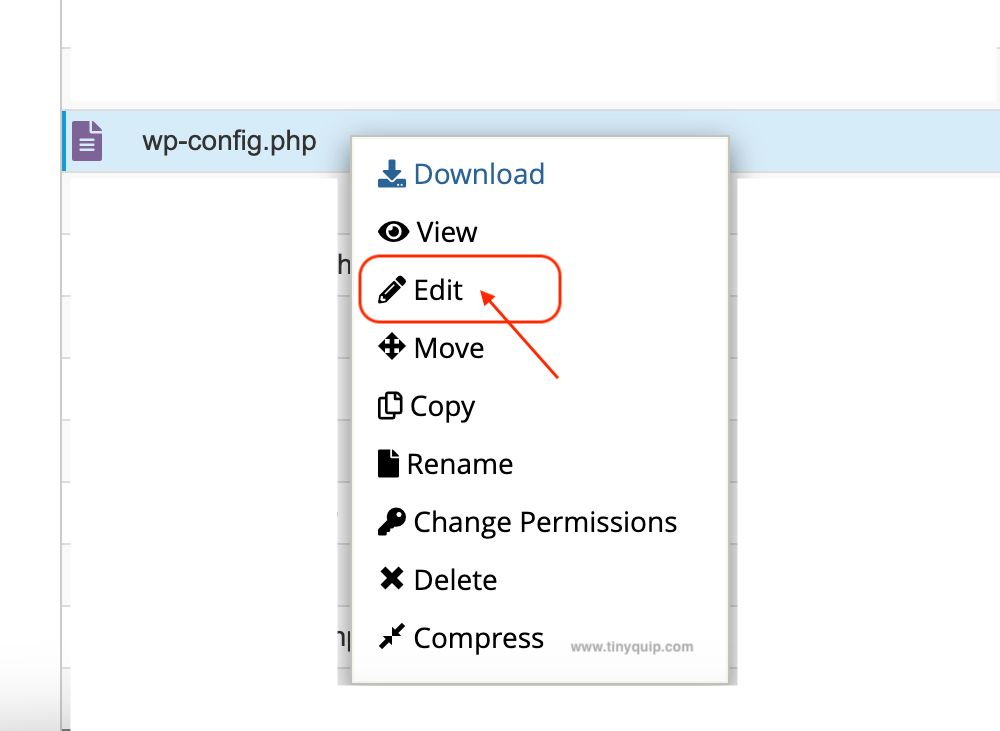 Edit Wp-config php file on WordPress