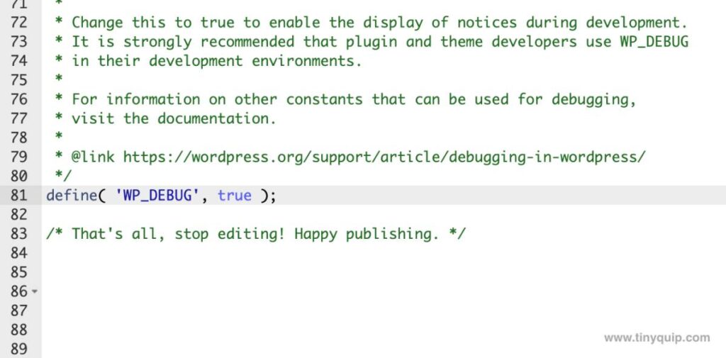 Enable Wp Debug on WordPress Website