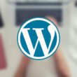 WordPress Error