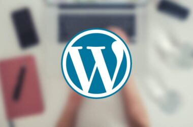 WordPress Error