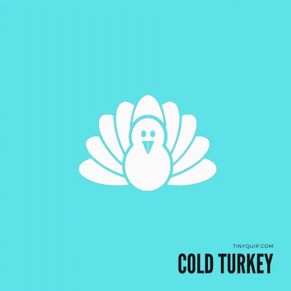 Cold Turkey Website