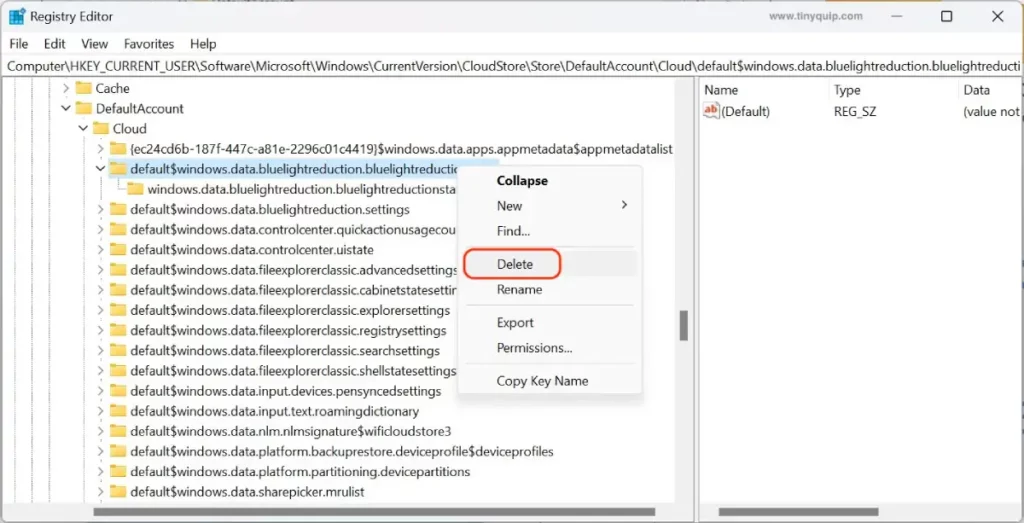 Delete Night Light Settings from Windows 10 or 11