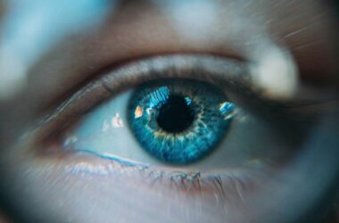 5 9 14 Eyes Alliance