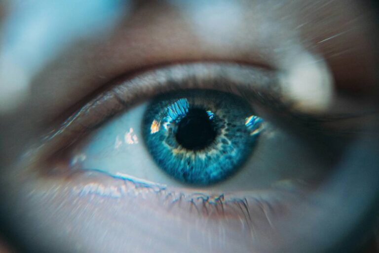 5 9 14 Eyes Alliance